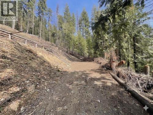 2401 Vickers Trail, Anglemont, BC 
