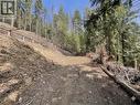 2401 Vickers Trail, Anglemont, BC 