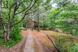 Walkway to cottage - 