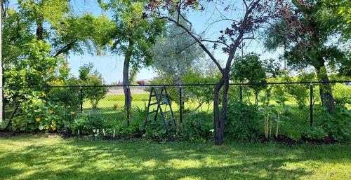 54 Lochmoor Ave, Winnipeg, MB 