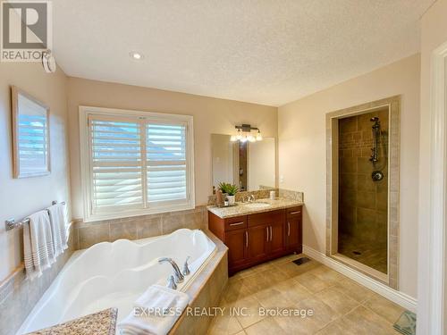 225 Terrace Wood Crescent, Kitchener, ON - Indoor Photo Showing Bathroom