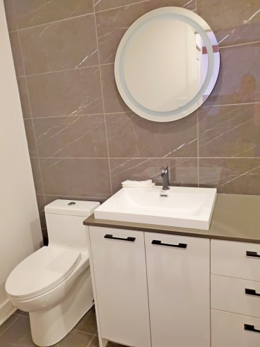 Salle de bains - 501-1575 Rue Gareau, Montréal (Ville-Marie), QC - Indoor Photo Showing Bathroom