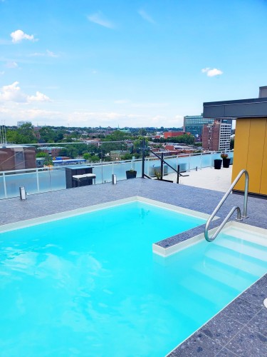 Piscine - 501-1575 Rue Gareau, Montréal (Ville-Marie), QC - Outdoor With In Ground Pool