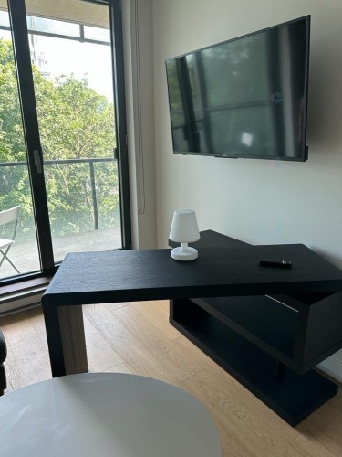 Salon - 501-1575 Rue Gareau, Montréal (Ville-Marie), QC - Indoor Photo Showing Other Room