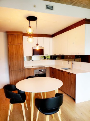 Cuisine - 501-1575 Rue Gareau, Montréal (Ville-Marie), QC - Indoor Photo Showing Kitchen