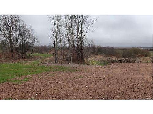 124 Queens Rd, Sackville, NB 