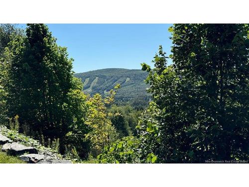 83 Maxime Rd, Saint-Jacques, NB 