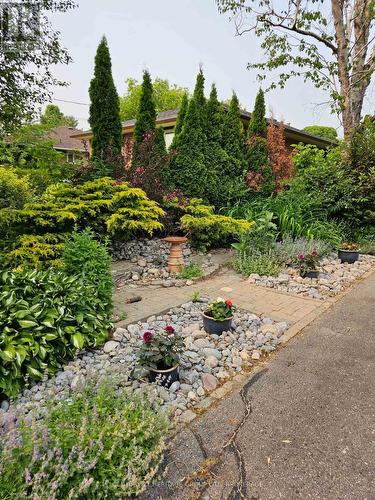 205 Keewatin Street, Oshawa (Donevan), ON - Outdoor