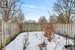 backyard - 
