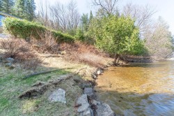 Bord de l'eau - 