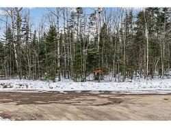Lot Newport DR  Boundary Creek, NB E1G 4E5