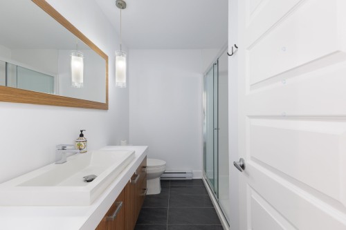 Salle de bains - 202-16639 Boul. Pierrefonds, Montréal (L'Île-Bizard/Sainte-Geneviève), QC - Indoor Photo Showing Bathroom