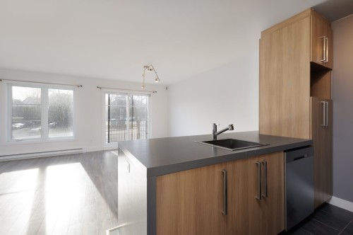 Cuisine - 202-16639 Boul. Pierrefonds, Montréal (L'Île-Bizard/Sainte-Geneviève), QC - Indoor Photo Showing Kitchen