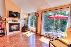 Living Room - 