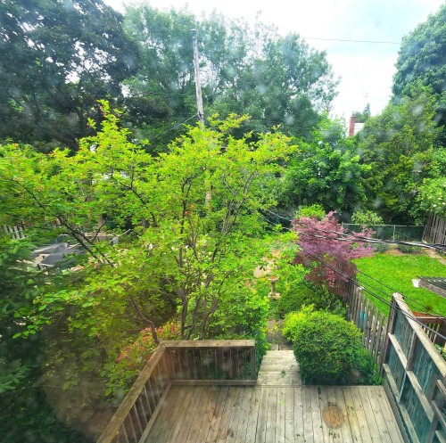 Cour - 1077 Rue Rochon, Montréal (Saint-Laurent), QC - Outdoor