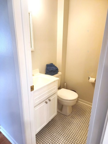 Salle d'eau - 1077 Rue Rochon, Montréal (Saint-Laurent), QC - Indoor Photo Showing Bathroom