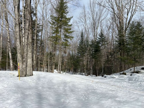 Terre/Terrain - 10E Rang, Austin, QC 