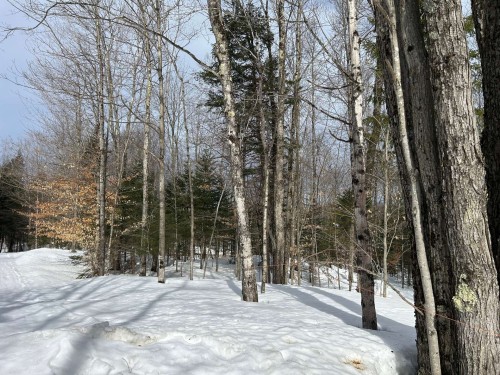 Terre/Terrain - 10E Rang, Austin, QC 