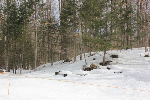 Terre/Terrain - 10E Rang, Austin, QC 
