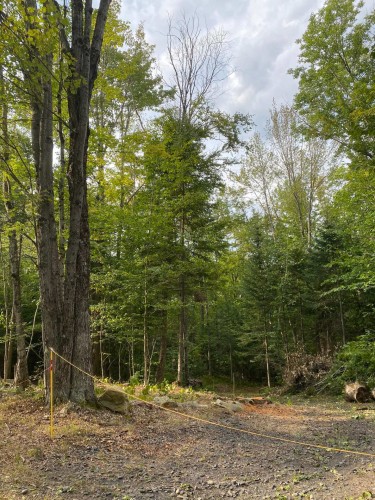 Terre/Terrain - 10E Rang, Austin, QC 