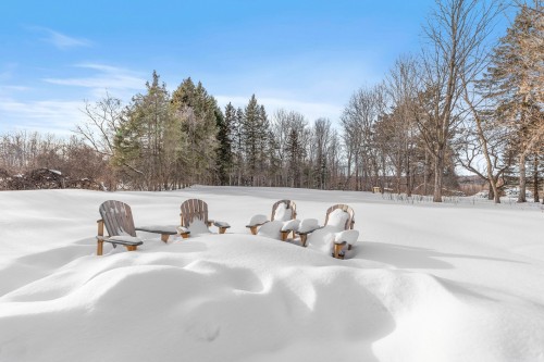 Cour - 2916Z Côte St-Charles, Saint-Lazare, QC 