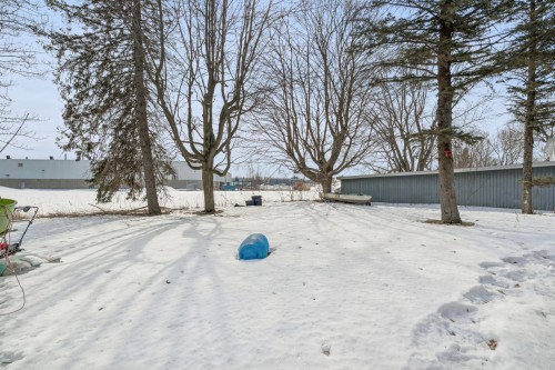 Cour - 1451 Rue St-Paul, Farnham, QC - Outdoor
