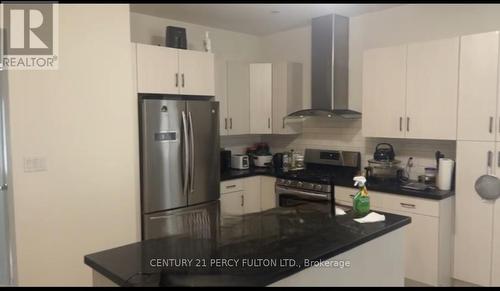 117 Juneberry Road, Thorold, ON - Indoor Photo Showing Kitchen With Stainless Steel Kitchen