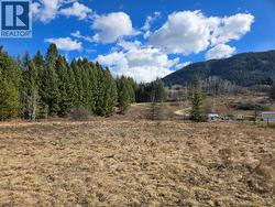 Lot 4 Bridgeview Road  Castlegar, BC V1N 4K9