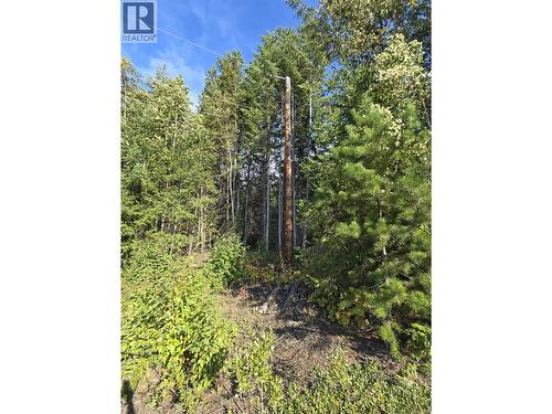 11328 E 16 Highway, Valemount, BC 