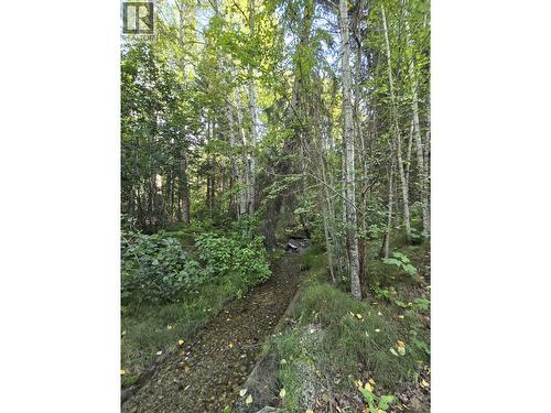 11328 E 16 Highway, Valemount, BC 