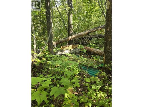11328 E 16 Highway, Valemount, BC 