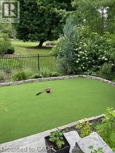 Putting green! - 124 Allen Street E, Waterloo, ON - Outdoor