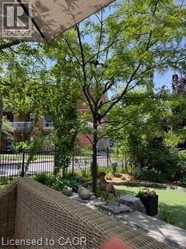 Relax! - 124 Allen Street E, Waterloo, ON - Outdoor