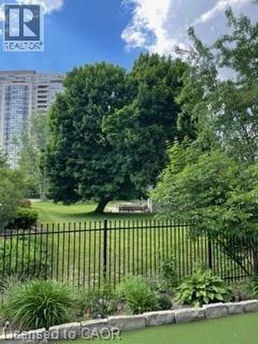 Summer view over to Community gardens - 124 Allen Street E, Waterloo, ON - Outdoor