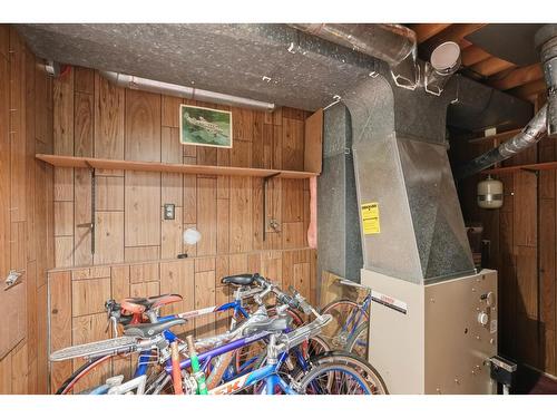 8841 Delmonte Crescent, Delta, BC - Indoor Photo Showing Basement