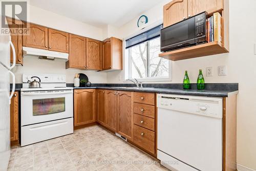 389 Wiffen Private, Ottawa, ON - Indoor Photo Showing Kitchen With Double Sink