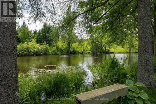 43 Maple St, Seguin, ON - Outdoor With Body Of Water