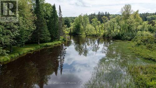 43 Maple St, Seguin, ON - Outdoor With Body Of Water With View