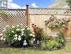 Summer flowers - 
