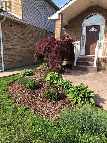 6 Keller Crescent, Kitchener, ON - Outdoor