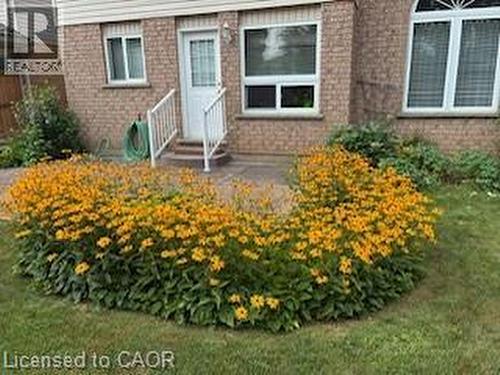 6 Keller Crescent, Kitchener, ON - Outdoor