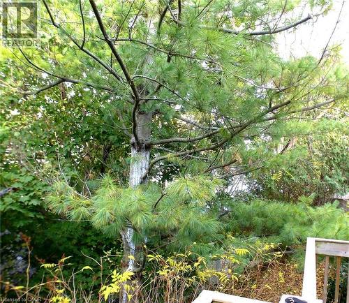 114 Glencliffe Court, Kitchener, ON - Outdoor