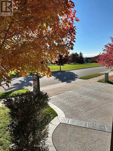 20 Navy Crescent, Brampton, ON - Outdoor