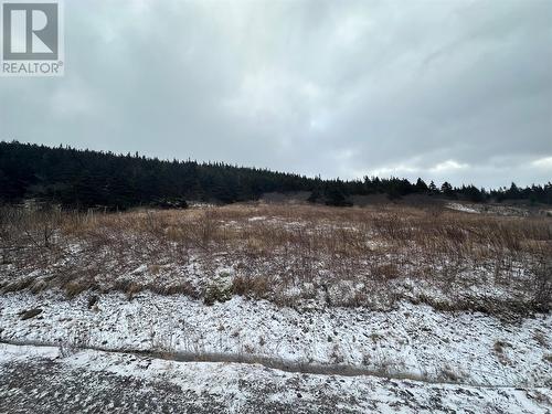 6B Top Road, Branch, NL 