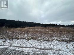 6B Top Road Branch, NL A0B 1E0