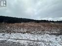 6B Top Road, Branch, NL 