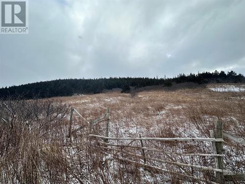 6B Top Road, Branch, NL 