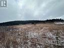 6B Top Road, Branch, NL 