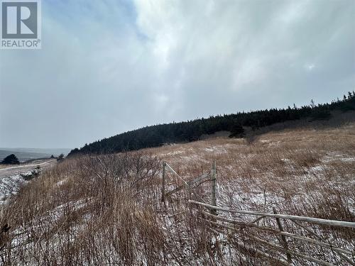 6B Top Road, Branch, NL 