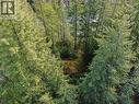 Balfour Avenue Lot# Lot 8, Kaslo, BC 